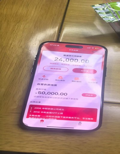 羊小咩额度：商家运营的新引擎