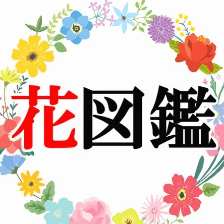 花呗注册指南：轻松激活借额度