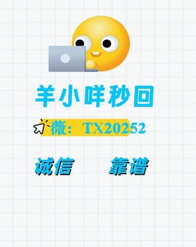 羊小咩怎么看不到额度了