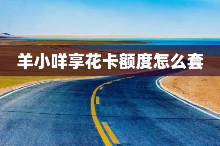 羊小咩1000额度怎么套
