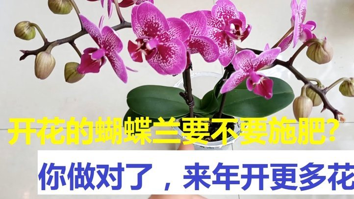 拿去花套现安全吗
