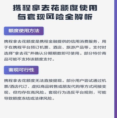 拿去花额度怎么用