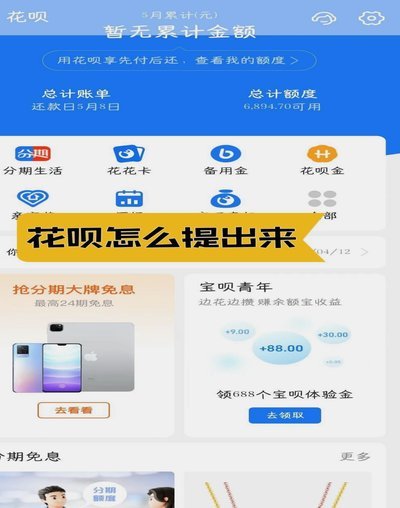 拿去花额度怎么用