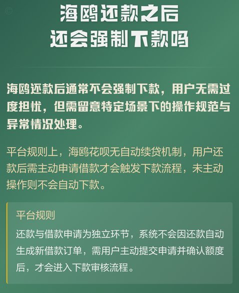 海鸥借款平台怎么还