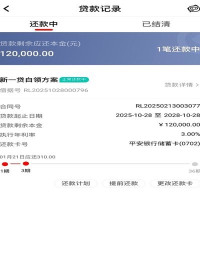 海鸥借款平台怎么还