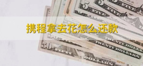携程拿去花怎么支付酒店
