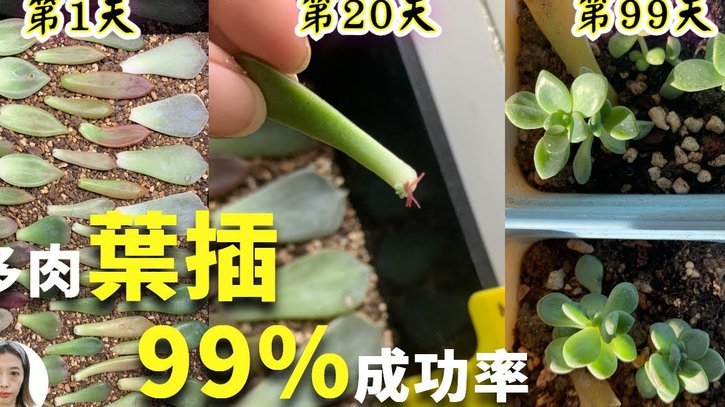 携程上拿去花怎么还款