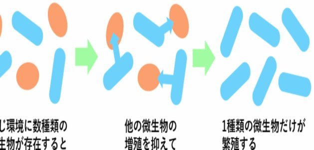 美团技术平台：业务发展的坚实支撑