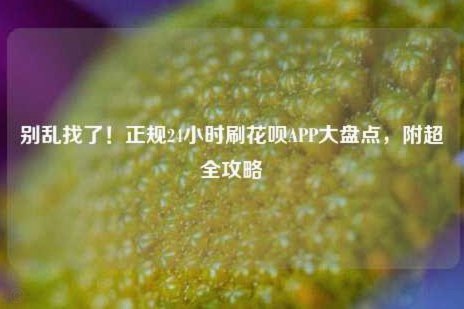 24小时诚信花呗在线平台