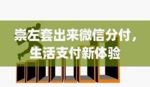 分付能一次性套出来吗