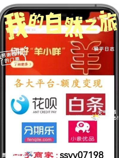 羊小咩哪里发货