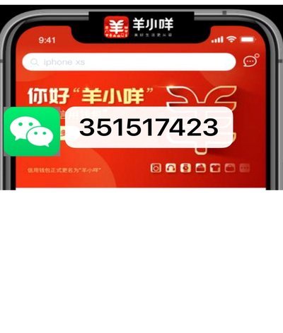 羊小咩哪里发货