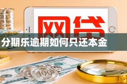 分期乐借款：个性化信用方案