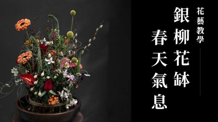 花呗商家怎么提现免费
