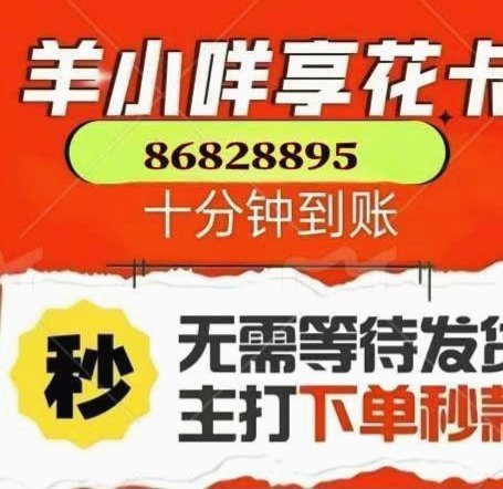 羊小咩现在怎么看账单