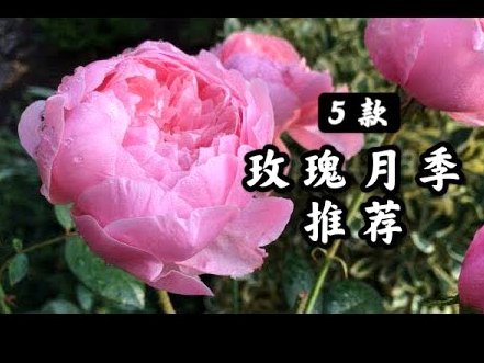 花呗现在情况怎么样?