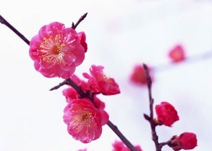 花呗秒套平台 套现可靠吗