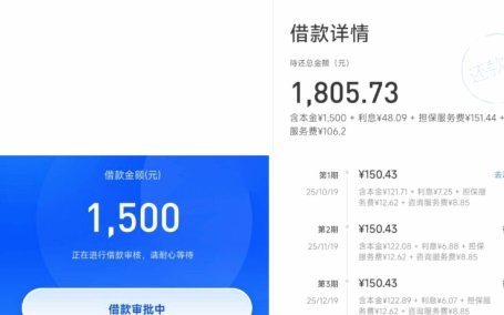 偏荔卡额度冻结，如何查询？
