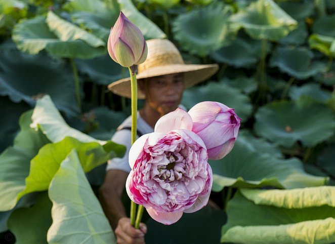 花呗欠款10000后果严重吗