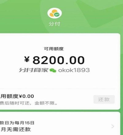 灵活支付新选择：分付额度详解