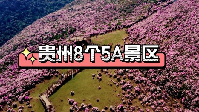 去哪花利息多久？