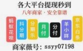 白条取现额度是什么意思
