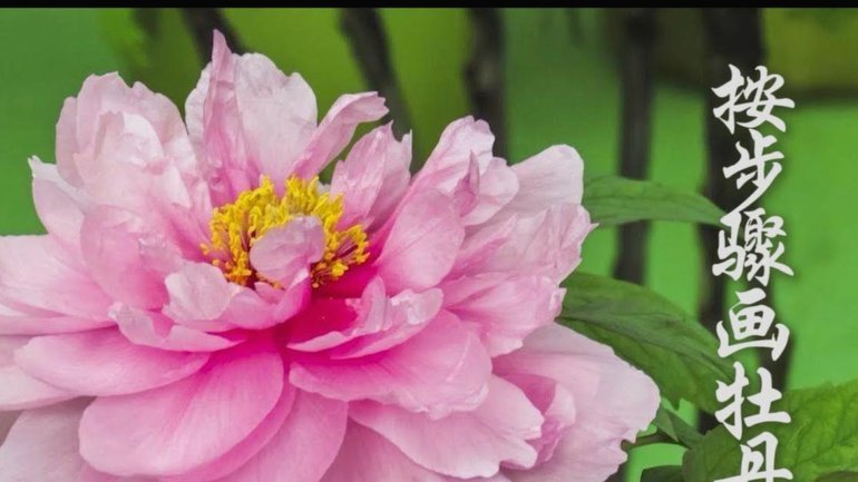 套花呗安全吗