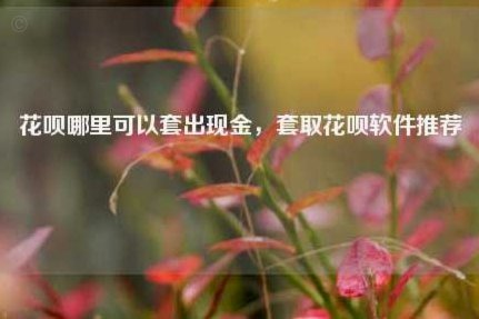 哪里可以套拿去花