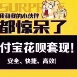 花呗套装现软件