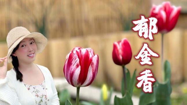 羊小花是正规平台贷款吗