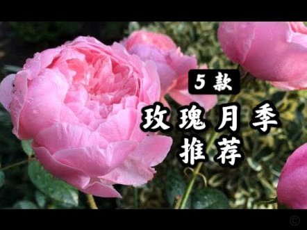 花呗套现的真实代价有多严重