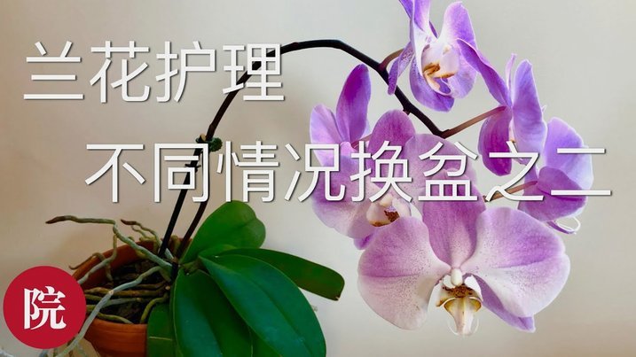 套现花呗有什么后果吗