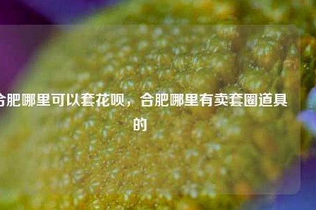 花呗套现：商家与平台风险全面剖析