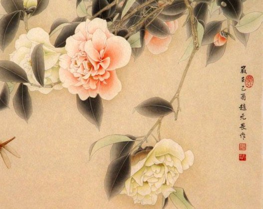 套花呗好吗