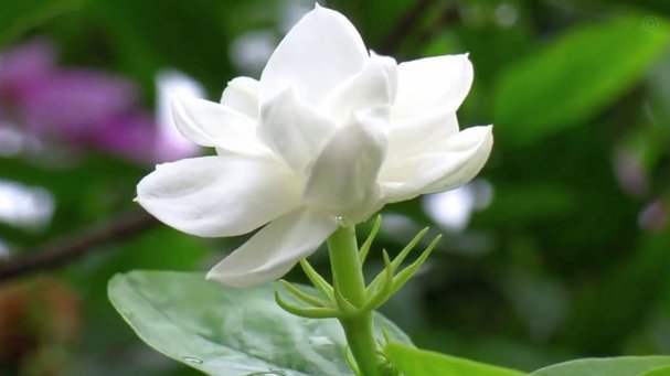 拿去花怎么消费?