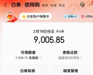 京东便利店白条能提现吗现在